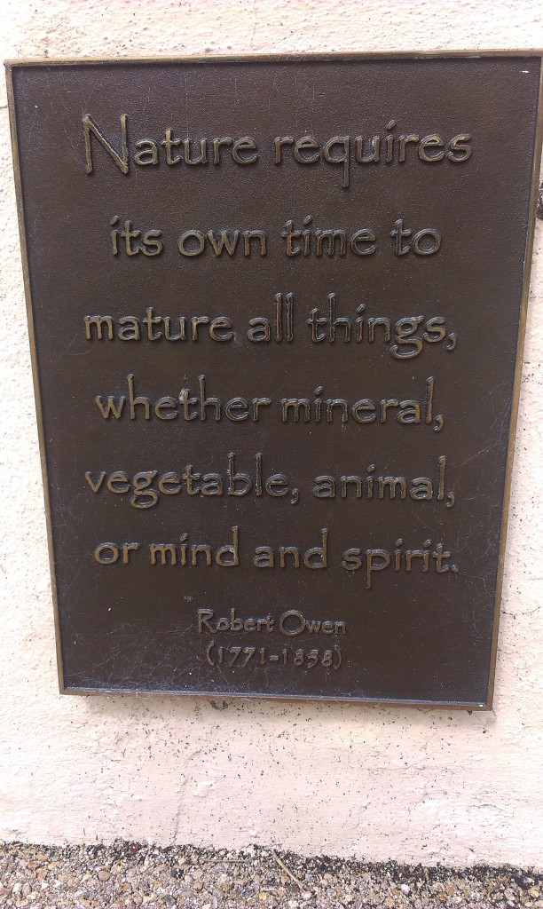 Nature requires its own time...