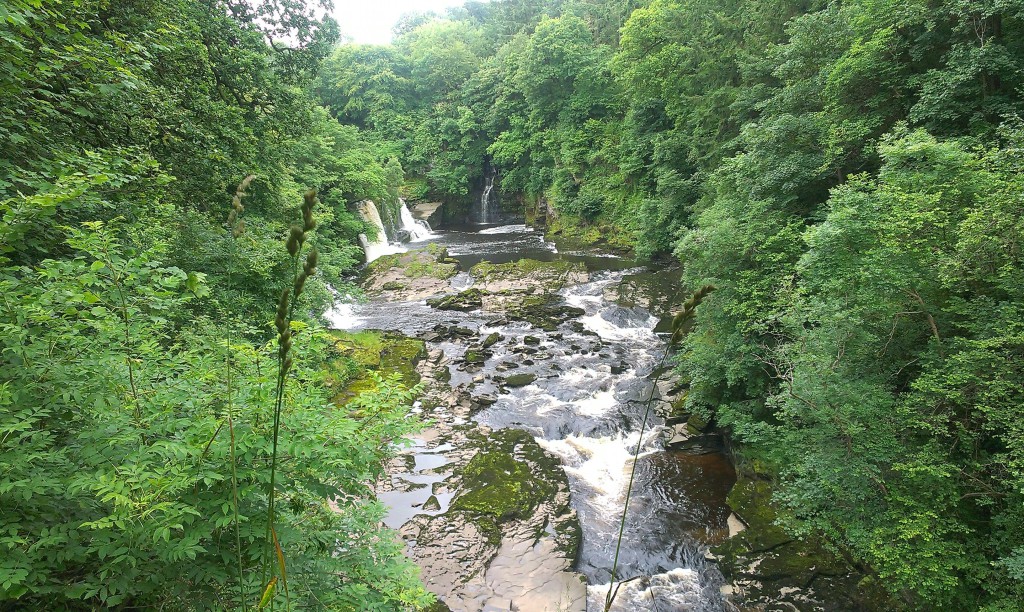 The Falls of Clyde