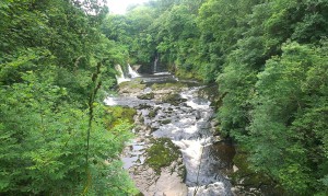 The Falls of Clyde 