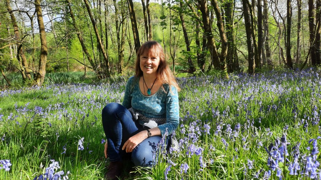 Bluebell wood