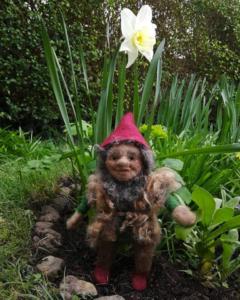 A gnome in my garden