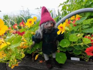 Dwarf in flower bed 